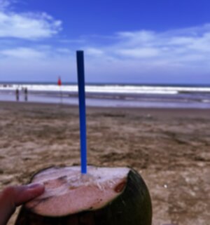 Beach Coco 300