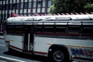 Bus 300