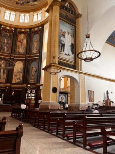 Cathedral Metropolinta 600