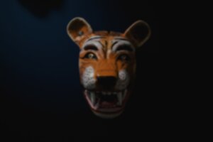 Mask 300