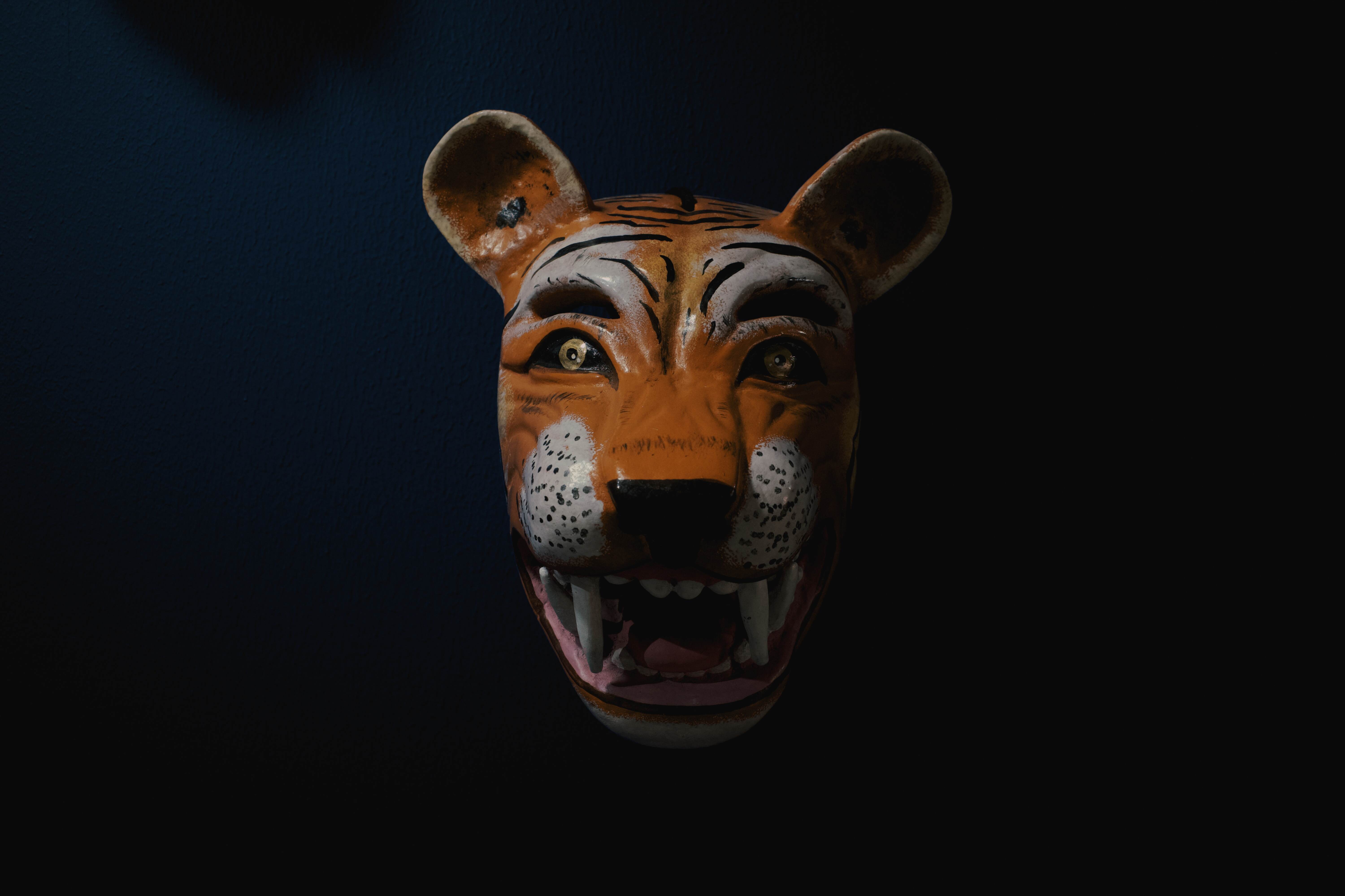 Mask Default