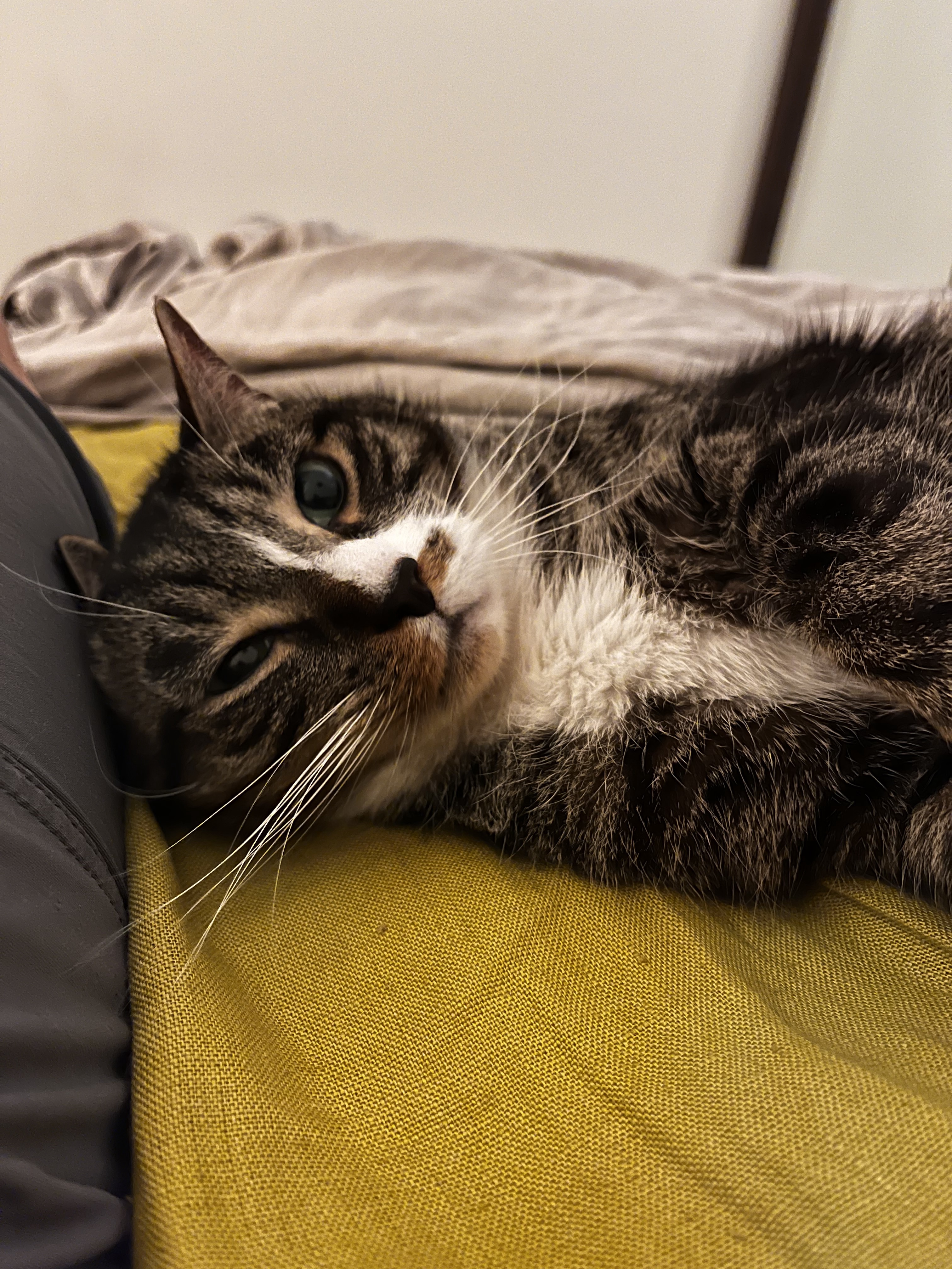 More sleepy