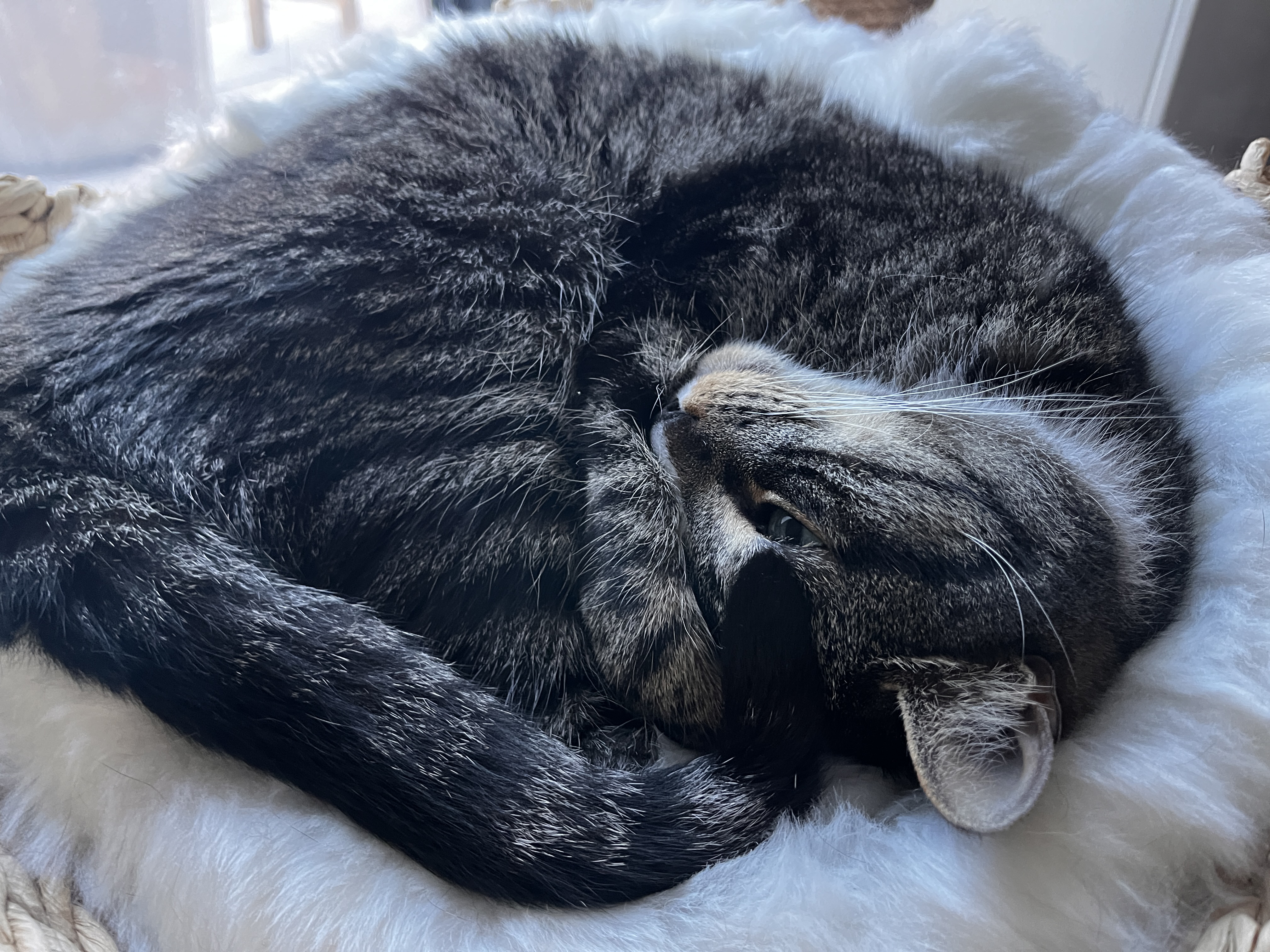 Circle