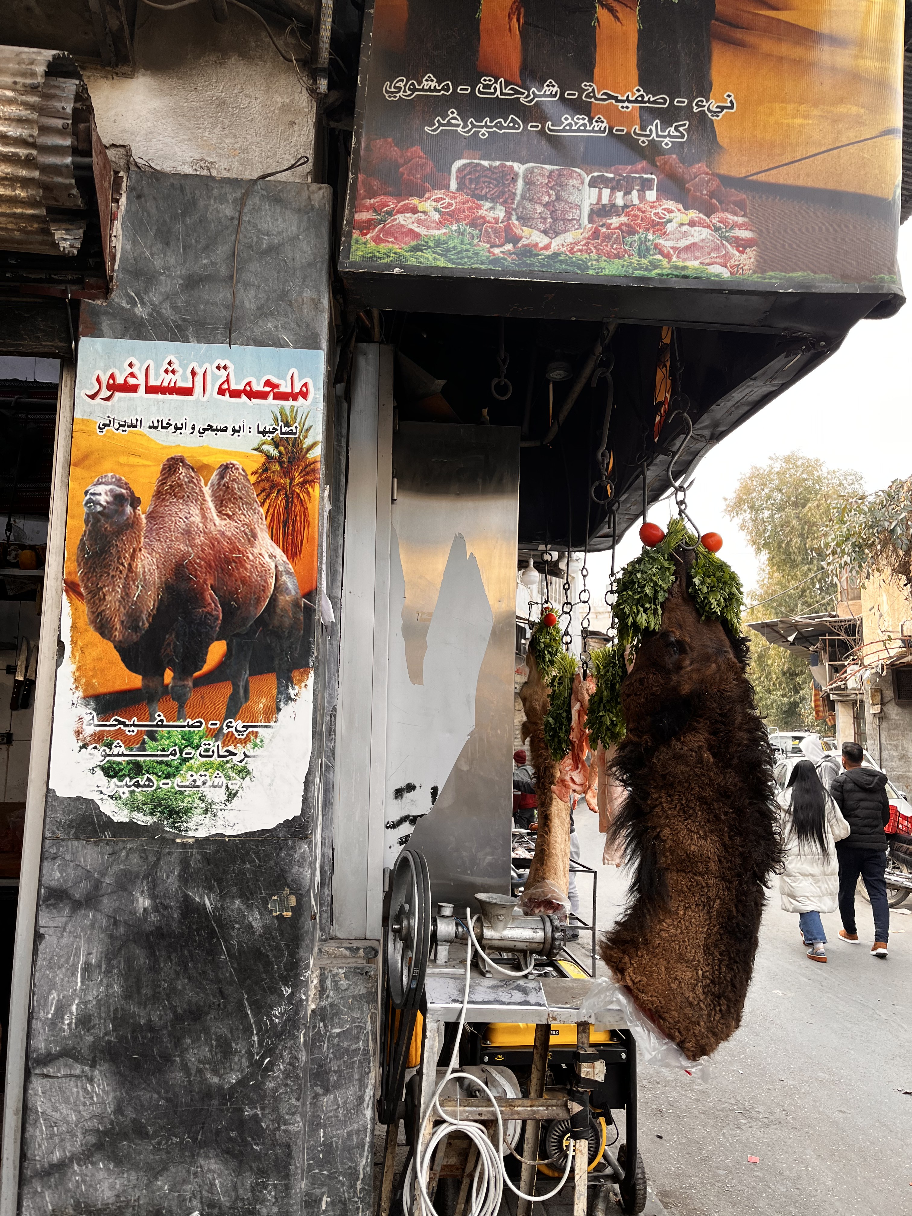 Damascene camel meat